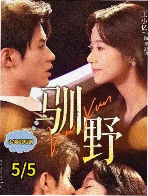 家庭伦理剧叙事主线配图